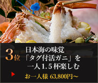 日本海の味覚「タグ付き活ガニ」を一人1.5杯楽しむ